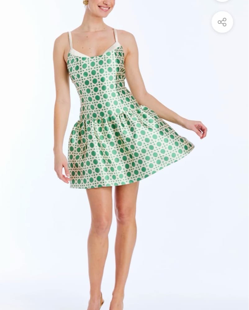 Mestiza Ellison Convertible Gown - Image 6
