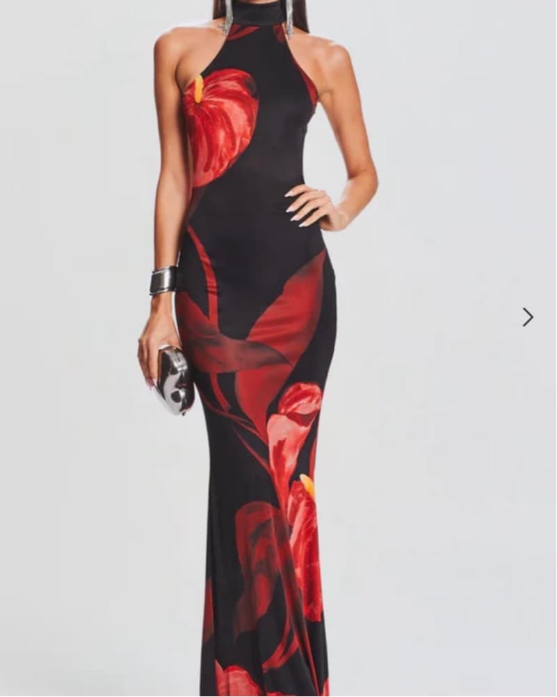 Retrofete Maxi Dress - Image 1