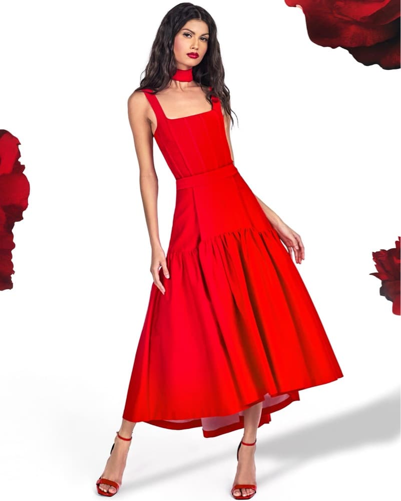 Alice + Olivia Red Corset Tank And Skirt - Image 1