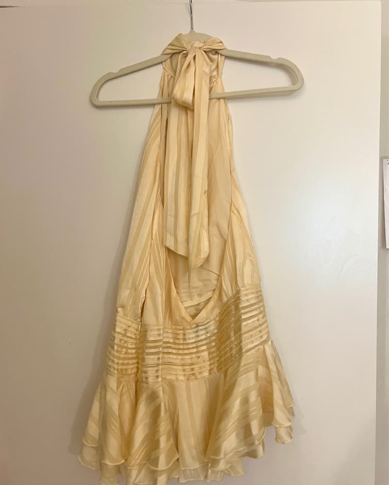 Peppermayo Willow Chiffon Mini Dress - Image 5