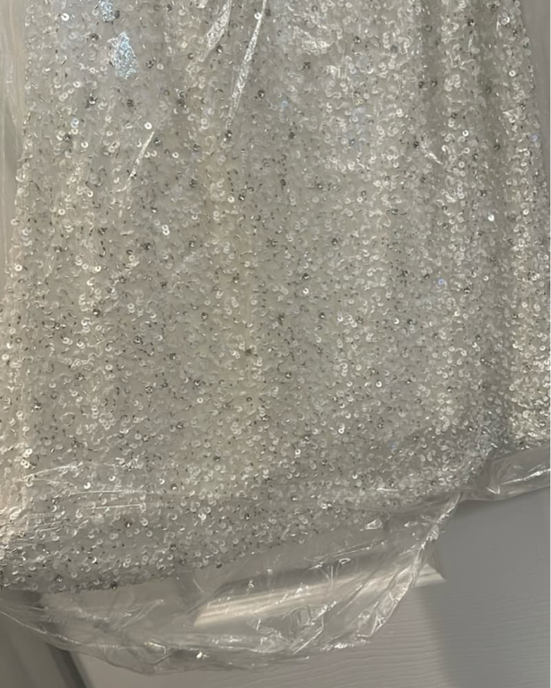 Alice Retrofete Sequin Dress - Image 5