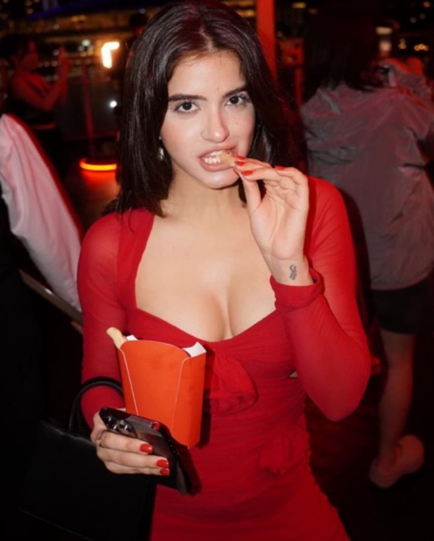 Bardot Pippa Rose Mini Dress  - Image 4