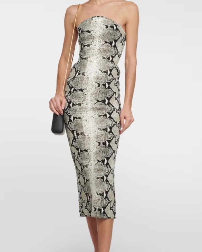 Khaite Roccia Snake Print Midi Dress - Image 1