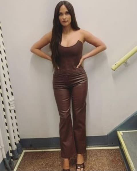 Miaou Brown Corset & Pants - Image 1
