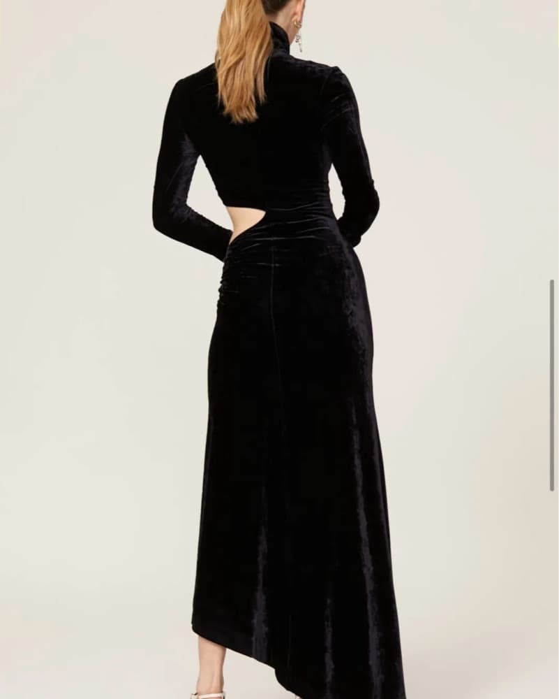 Velvet ALC Dress - Image 2