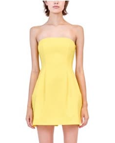 SIMKHAI Arta Bustier Mini Dress - Image 1