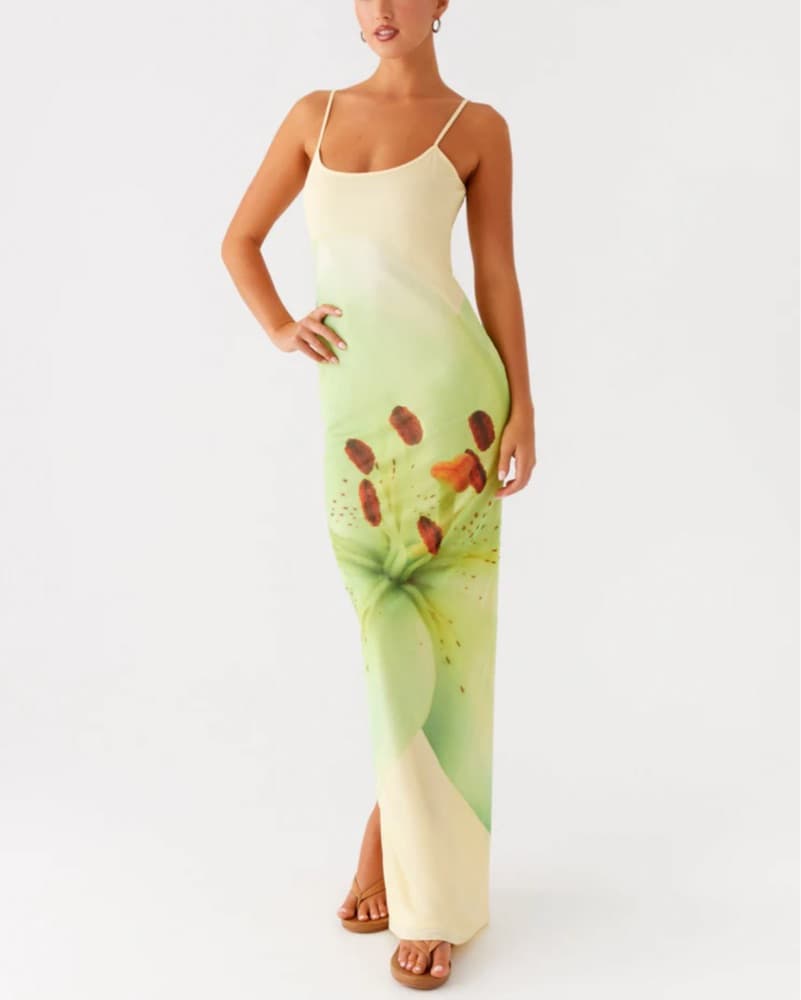 Peppermayo Mesh Maxi Dress - Image 4