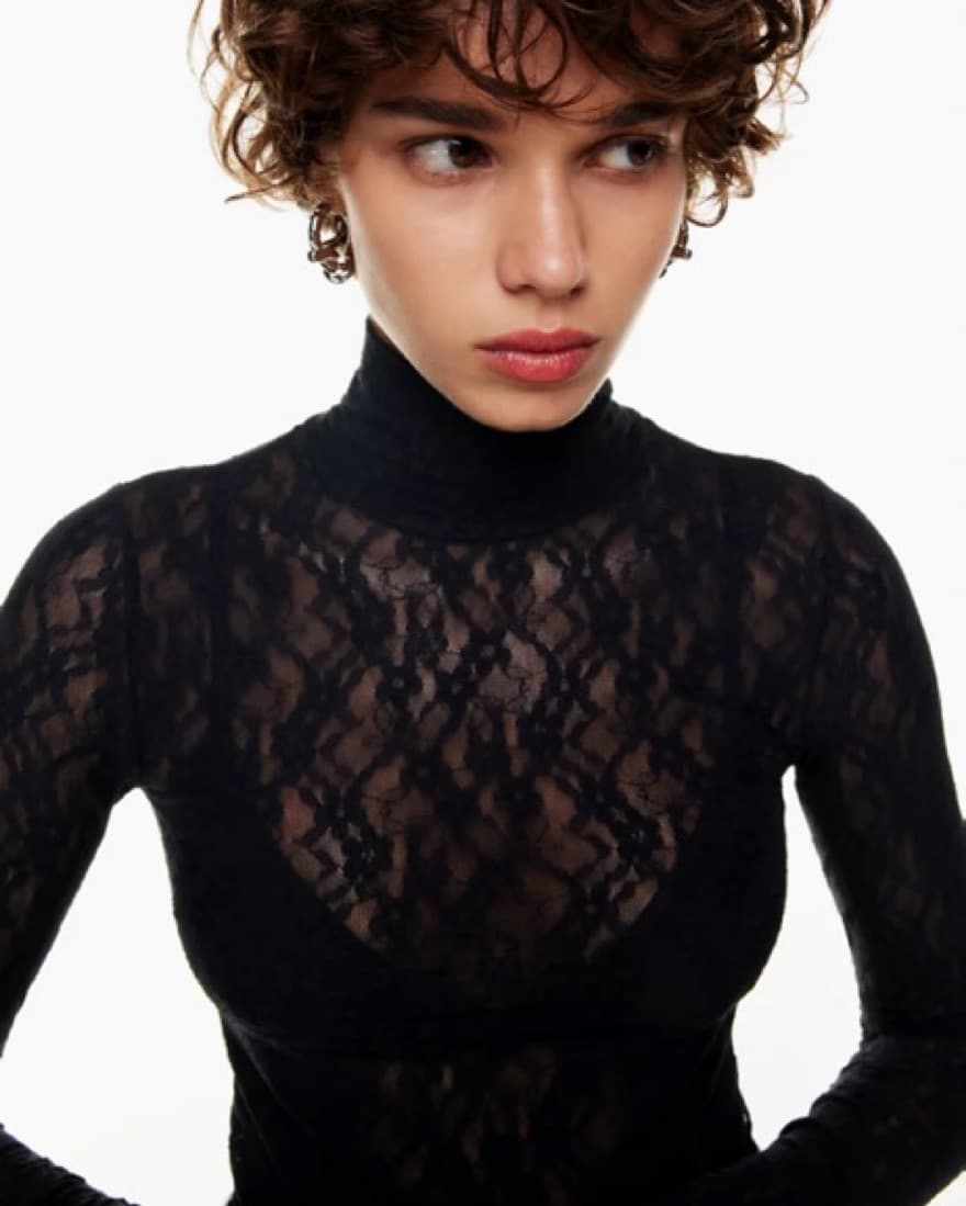 Aritzia Wilred Lace Turtleneck - Image 1