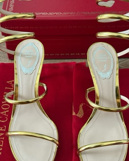 Rene Caovilla Omega Snake Heels - Image 2