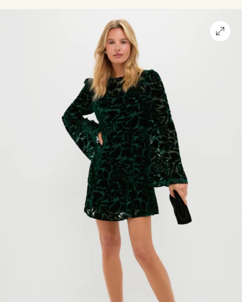 Emerald Green Burnout Velvet Oaklynn Min - Image 1