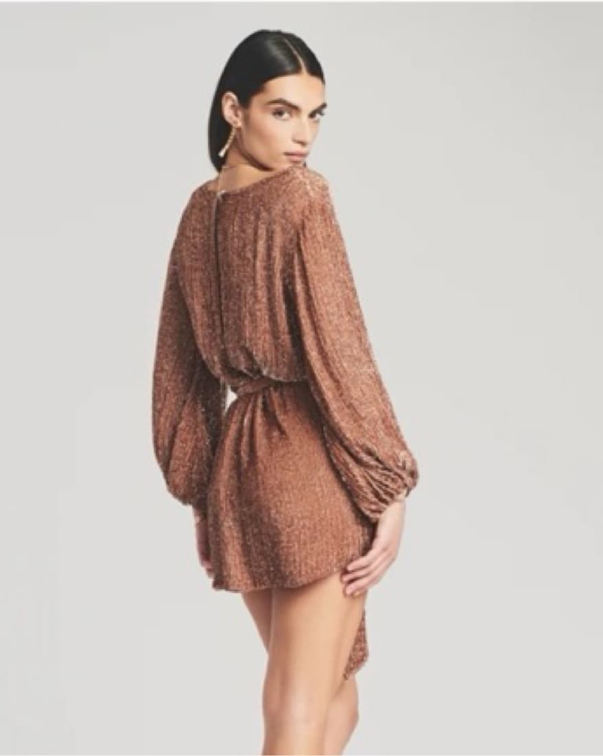Brown Retrofete Gabrielle Robe Dress  - Image 3