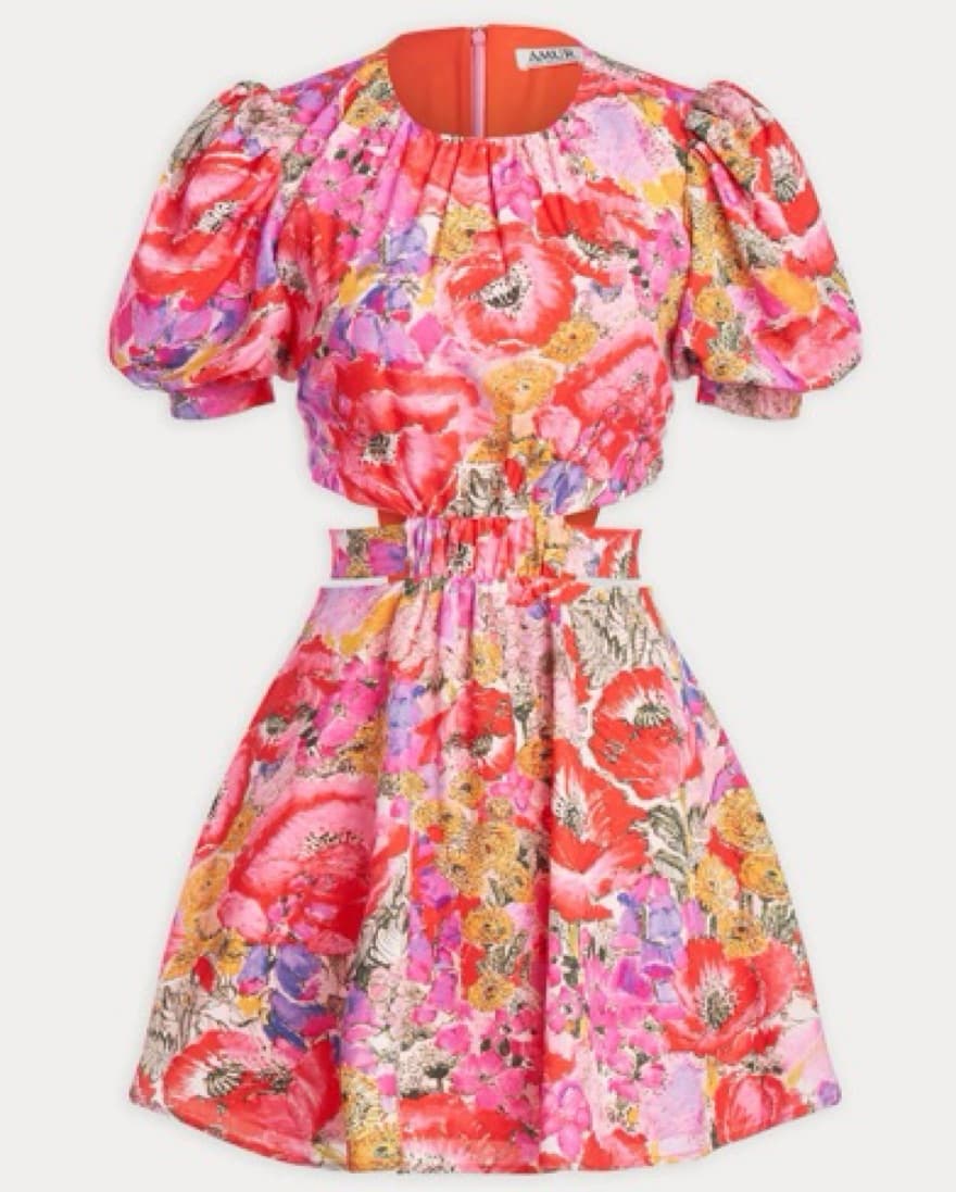 AMUR Cole Cutout Minidress - Image 3