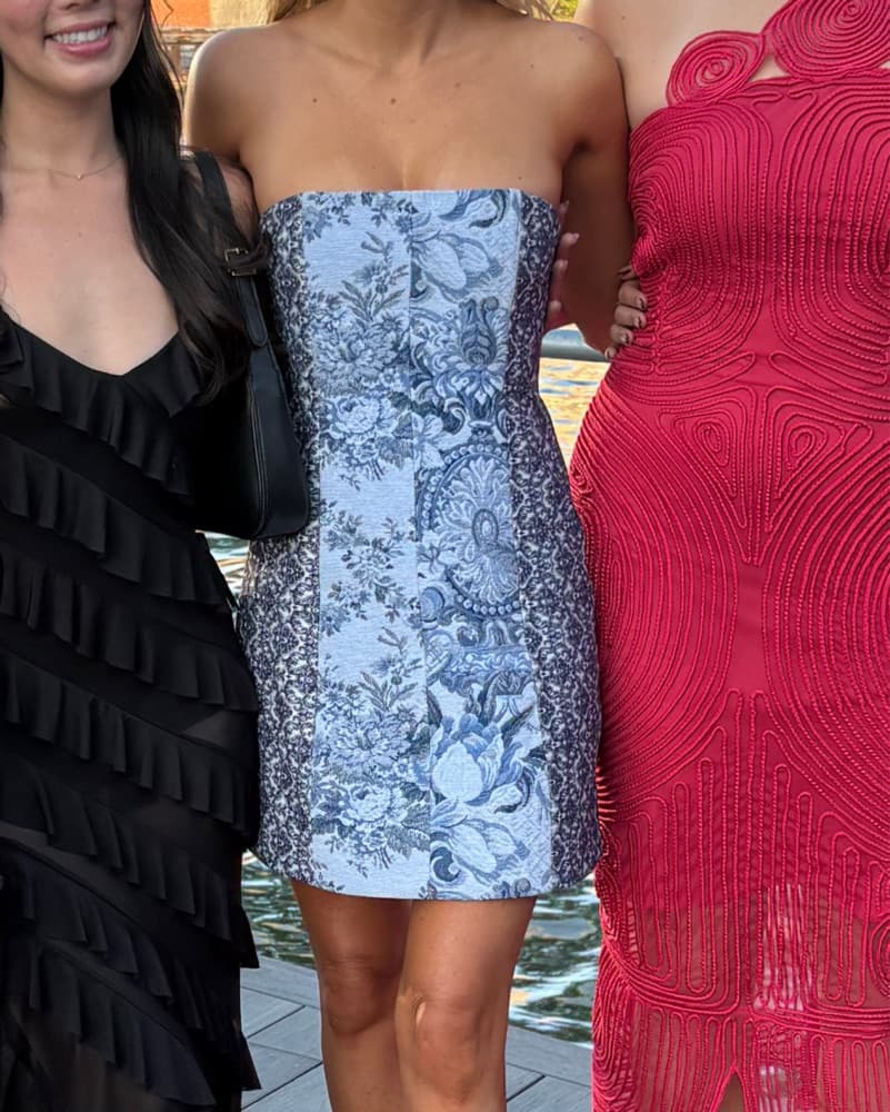 Alice & Olivia Mini Dress   - Image 1