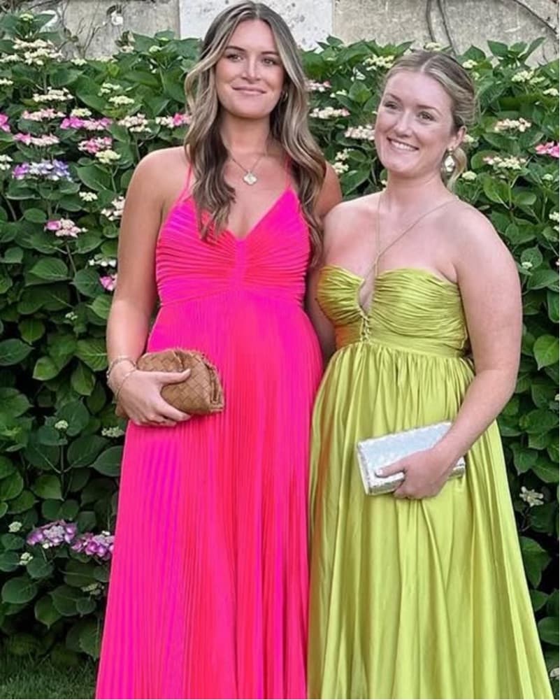 ALC Aries Pleated Gown - Image 1
