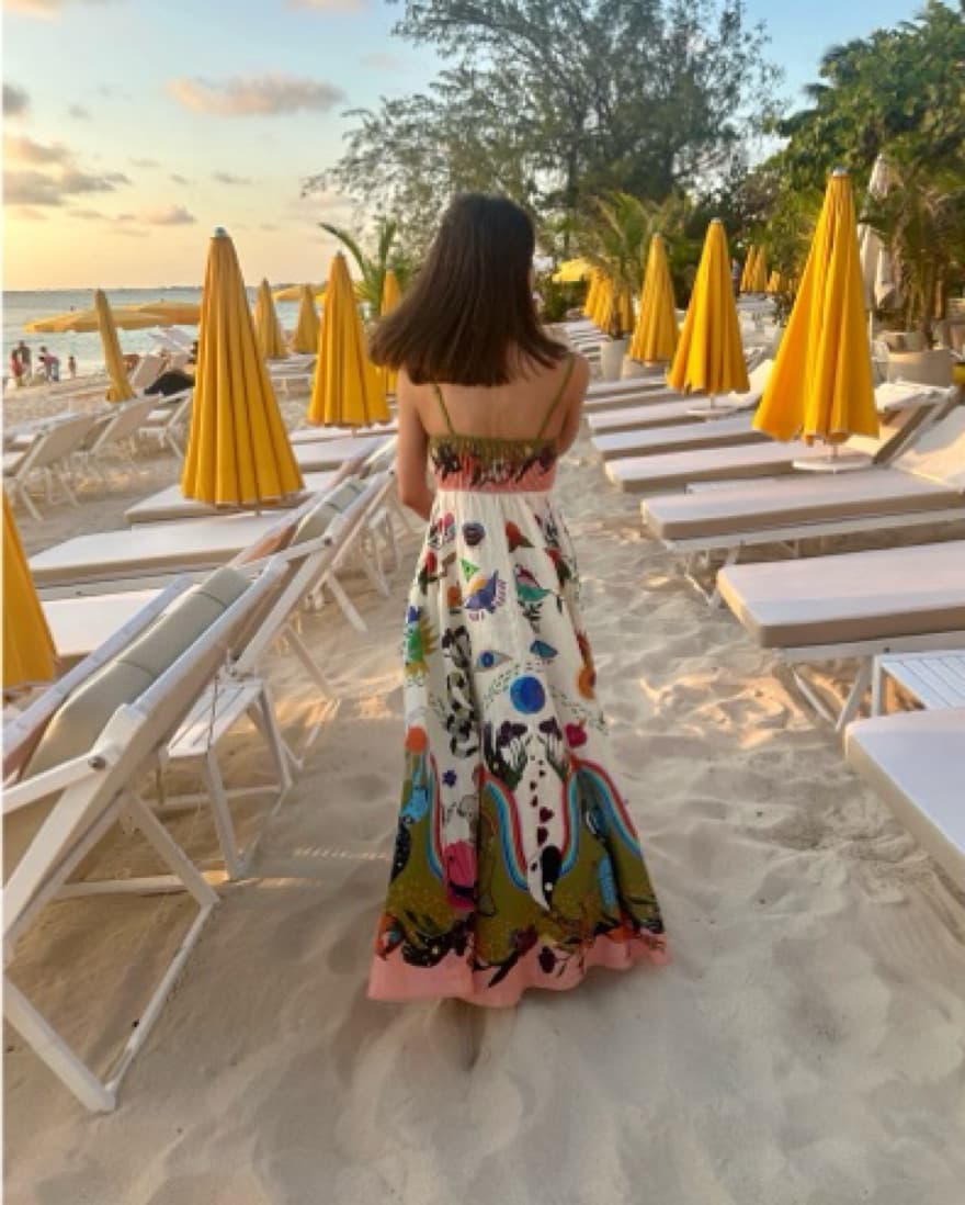 ALÉMAIS Printed Linen Midi/Maxi Dress - Image 3