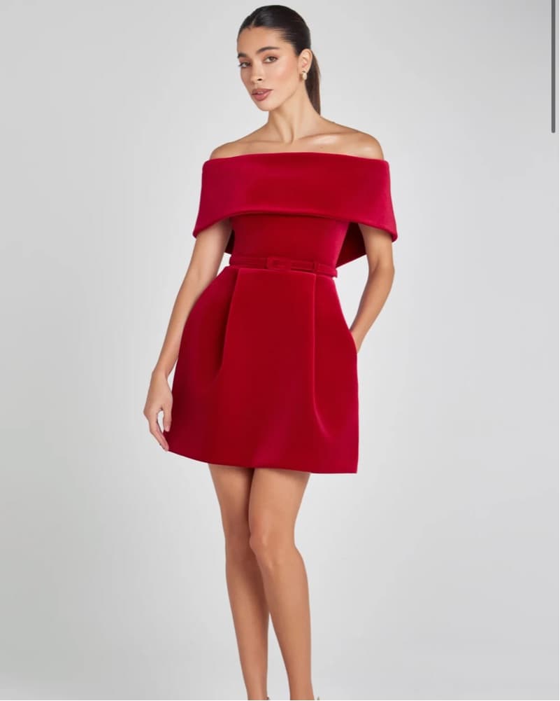 Nadine Merabi Red Velvet Dress - Image 1