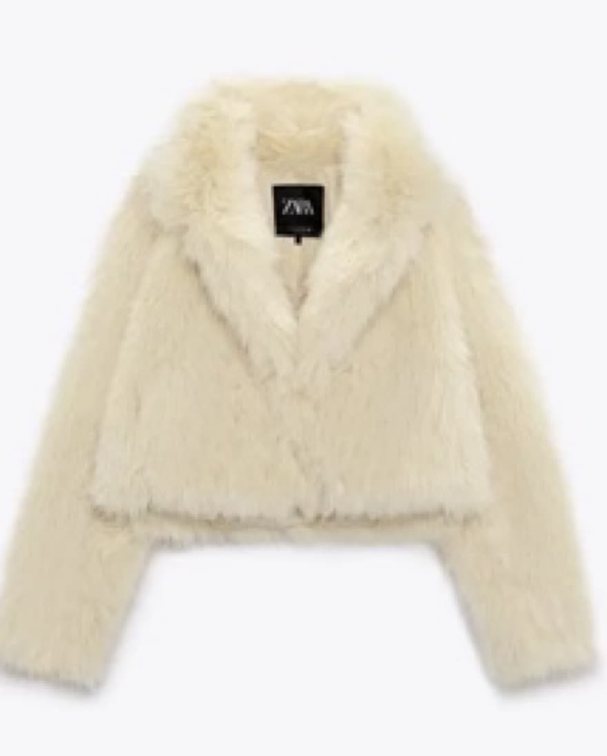 Zara Fur Jacket - Image 2