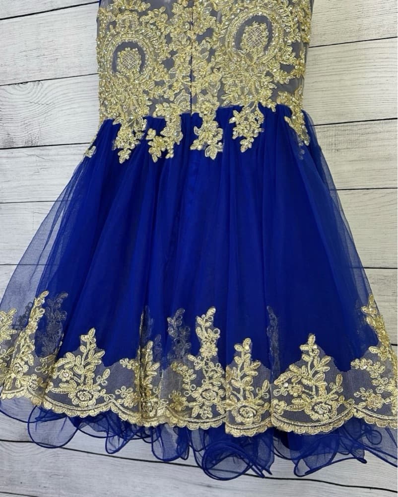 Tulle Prom/Party Dress Blue Gold Beaded - Image 5