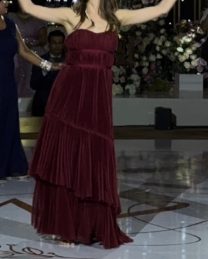 Wine Red Hutch Tulle Renza Dress - Image 4