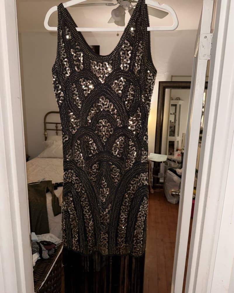Flapper Stunning Sequin Fringe Dress - Image 1
