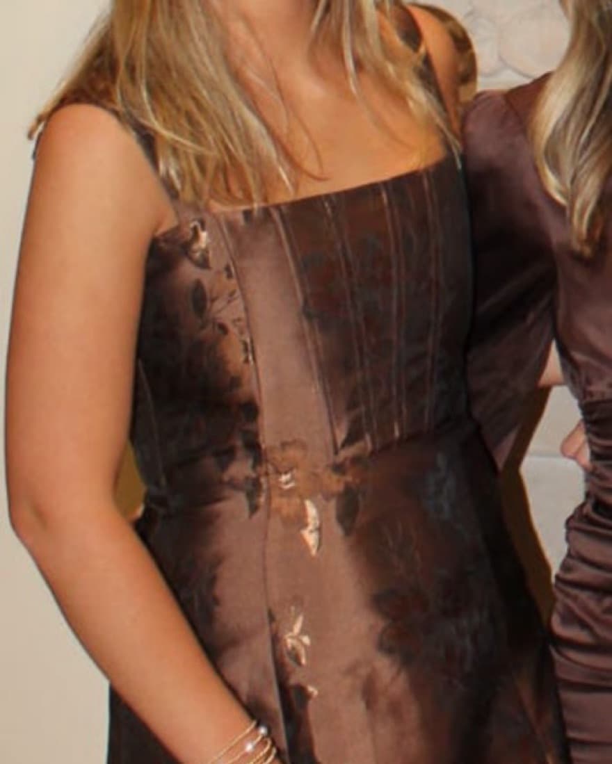 V Chapman Kimmy Dress - Image 3
