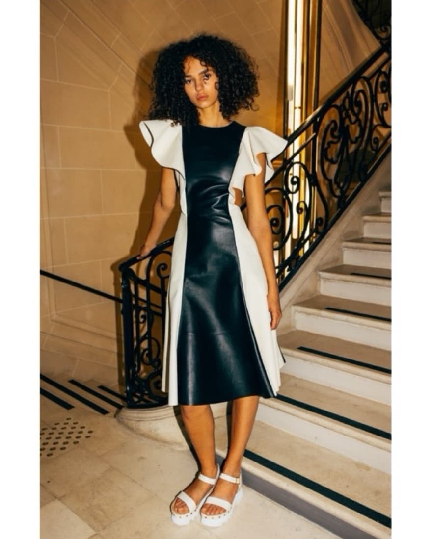 Chloé Leather Dress - Image 2