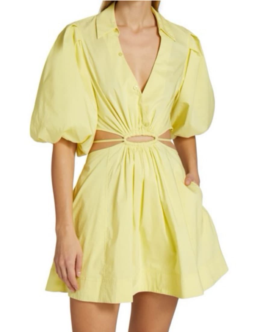 Johnaton Simkhai Mini Dress - Image 2