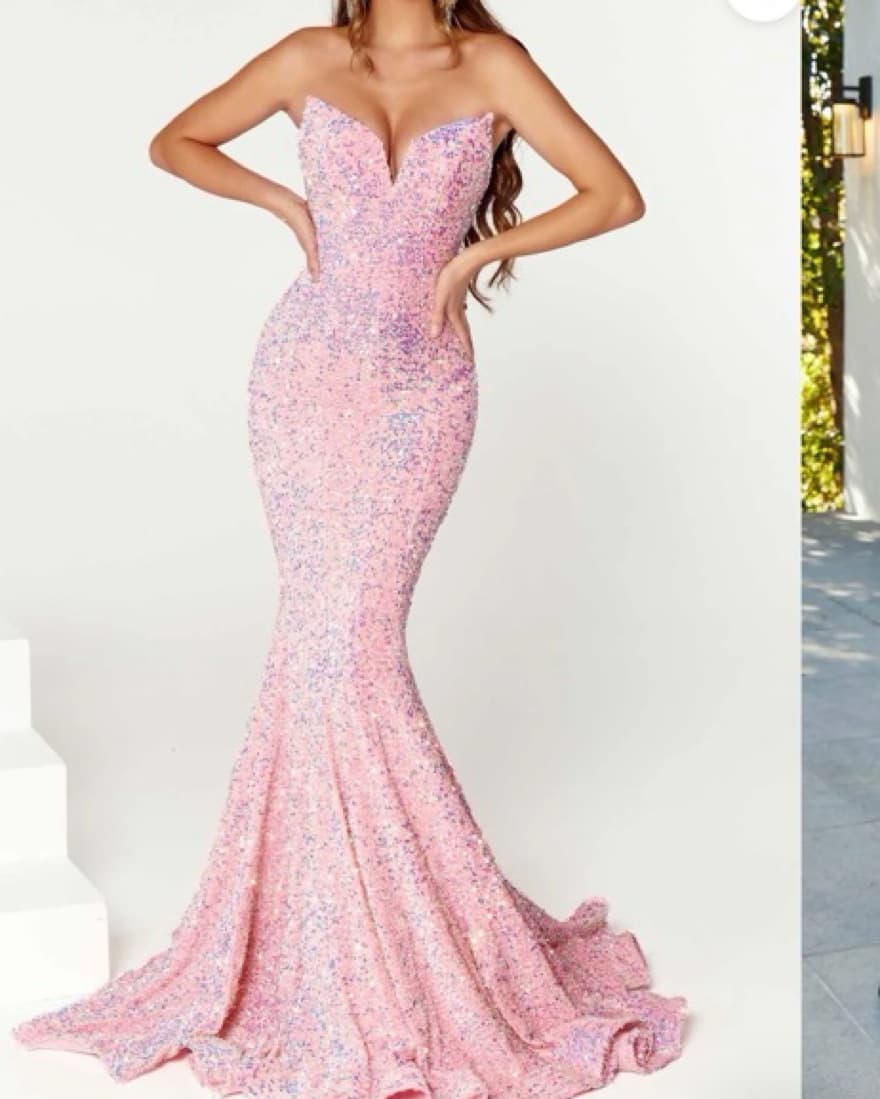 Portia and Scarlett Gown In Blush  - Image 1