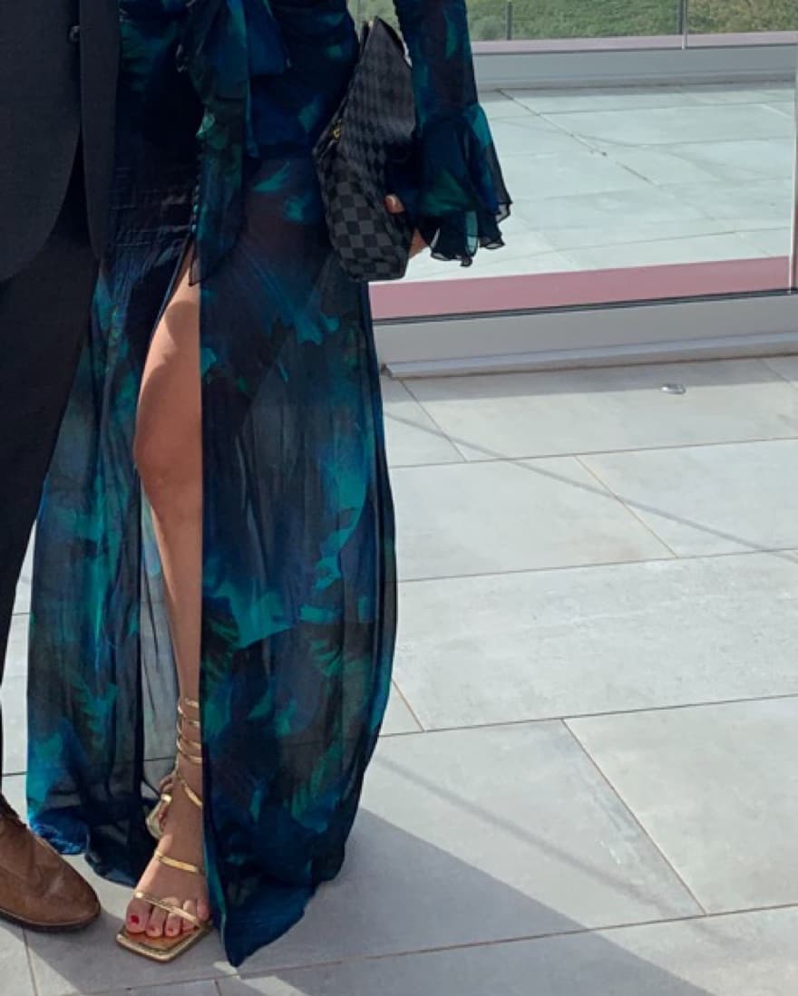 Rat & Boa Sheer Maxi Dress - Image 3