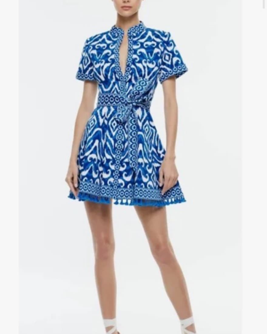 Alice and Olivia Blue and White Dress  - Image 1