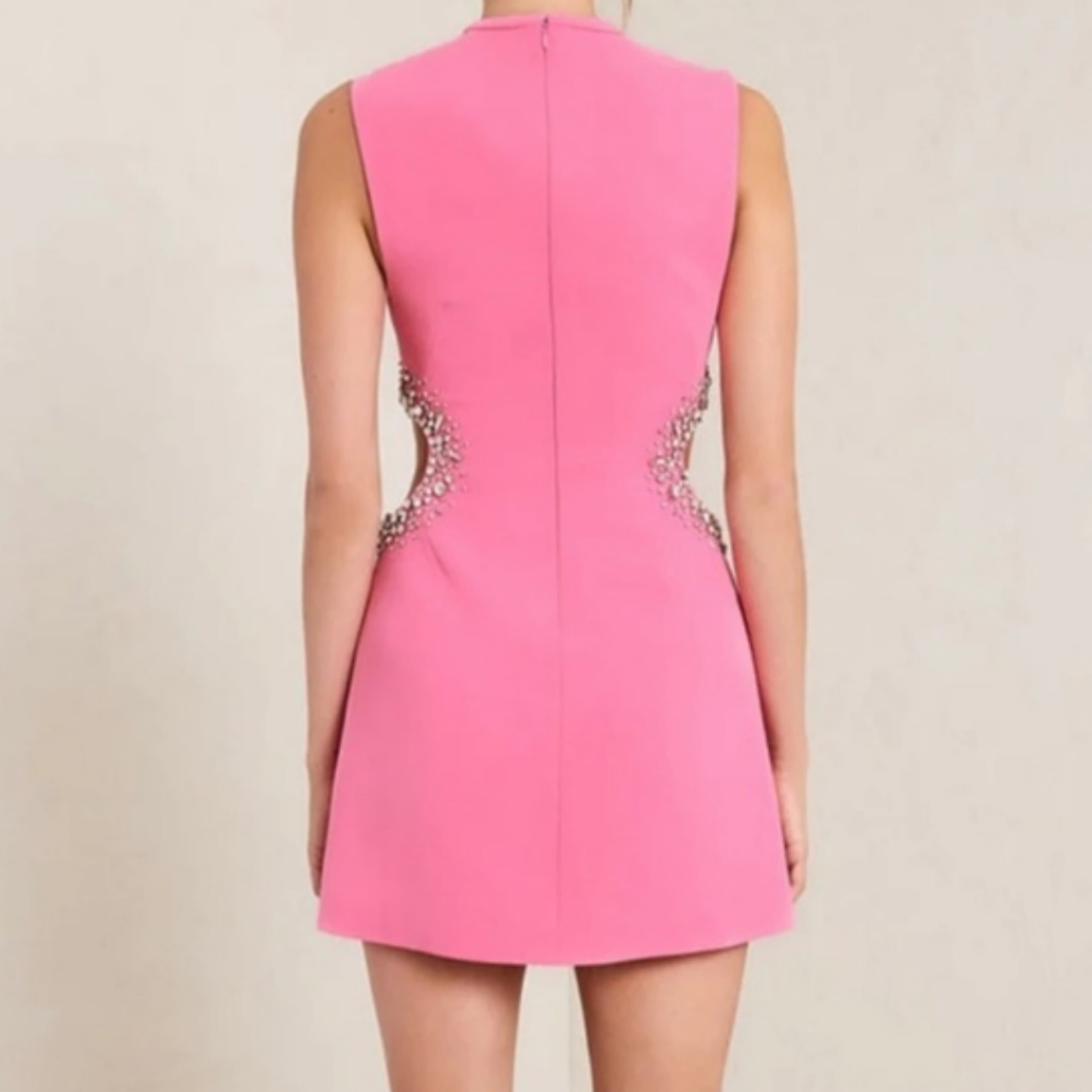 Skyla Dress in Pink - Image 3