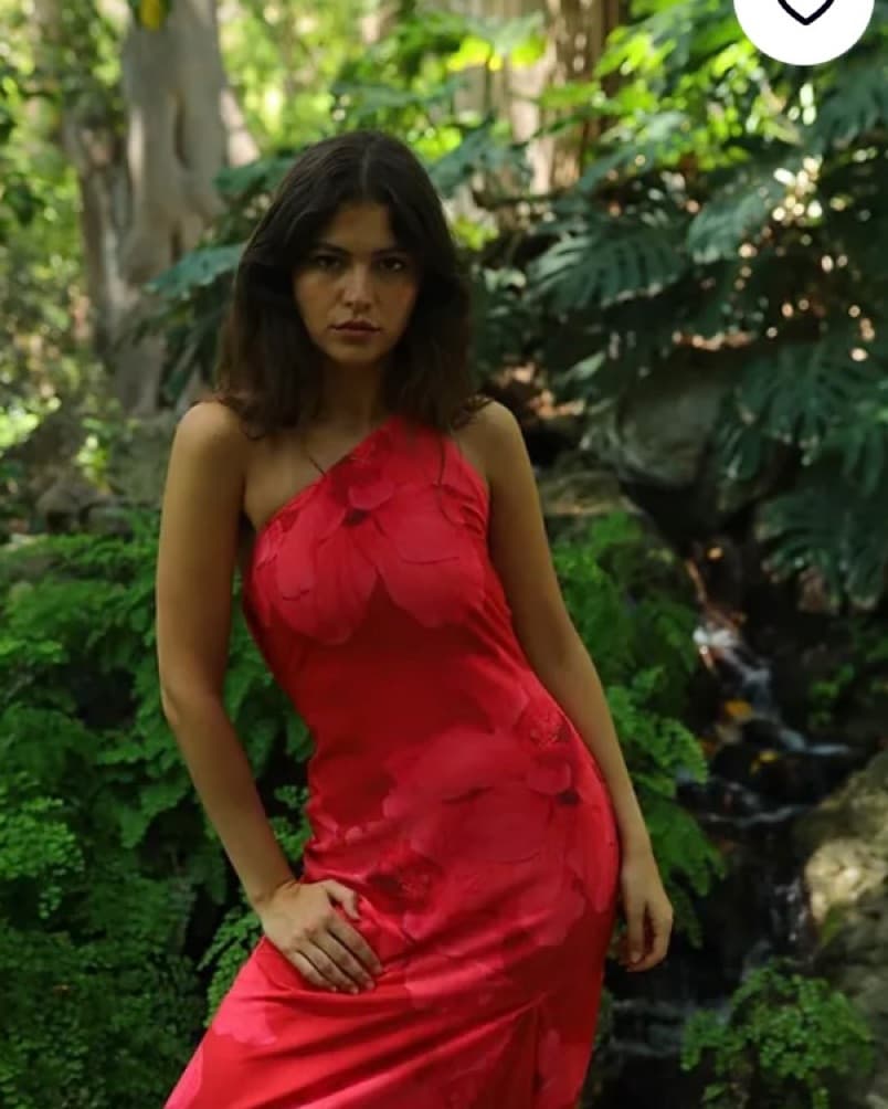 Claw the Label - Red La Cayena Dress - Image 2