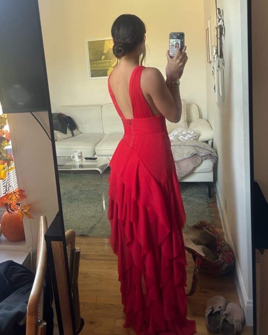 Alice And Olivia Dress  - Image 2