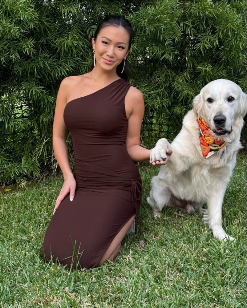 Whitefox Brown Long Dress  - Image 2