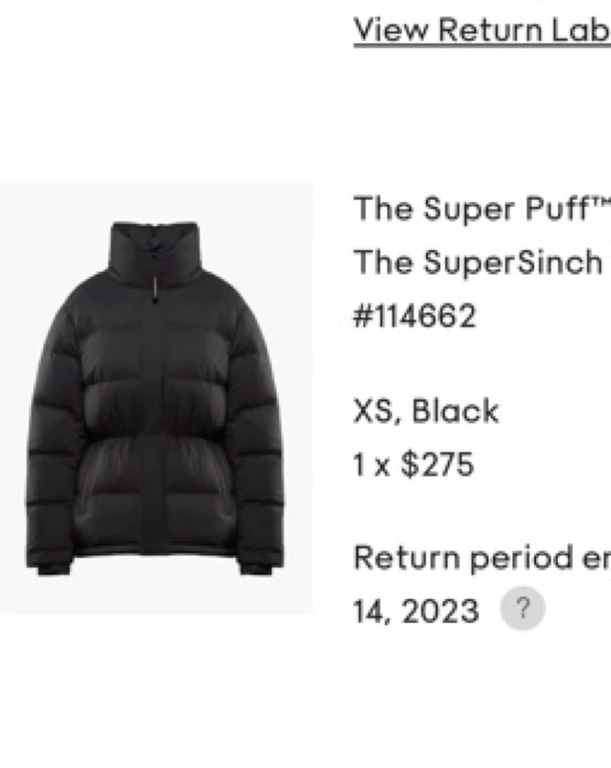 Aritzia Cinch Waist Puffer  - Image 1
