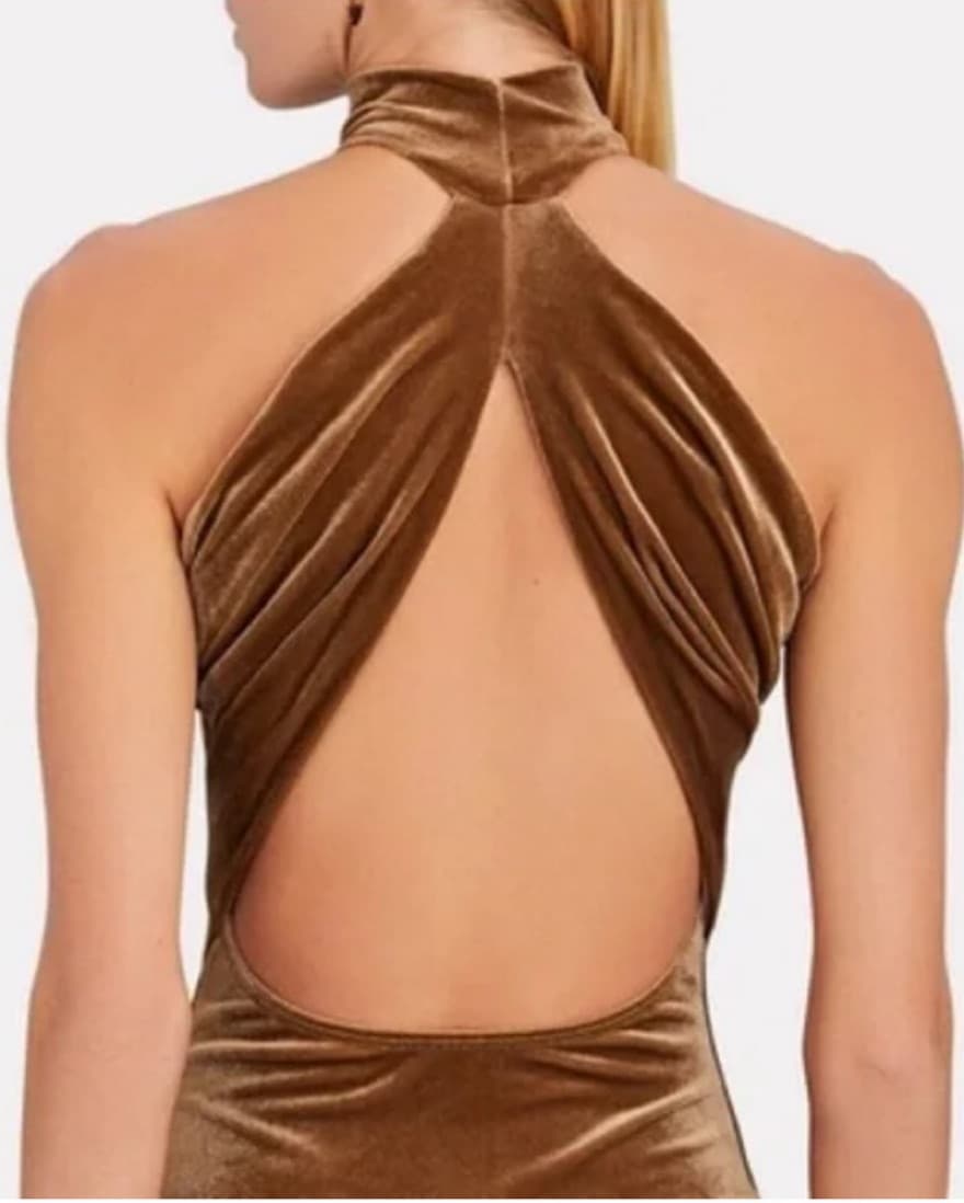 Alix NYC Brown Velvet Bodysuit - Image 2