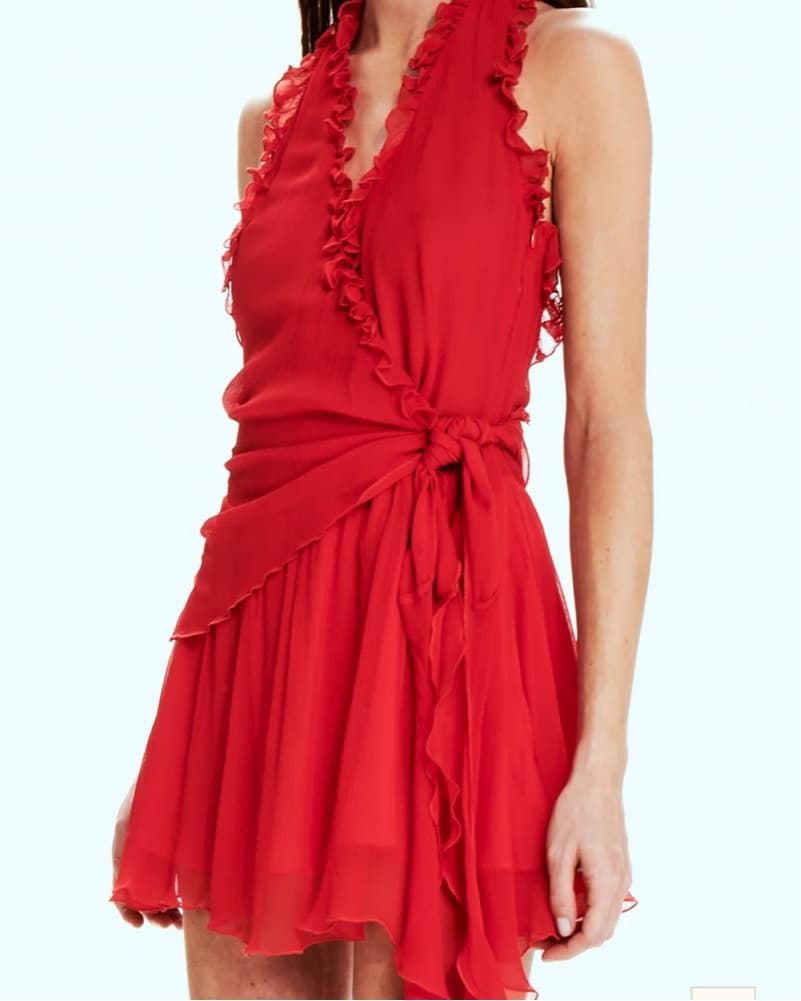 Mirae Esme Rouge Mini Dress - Image 3