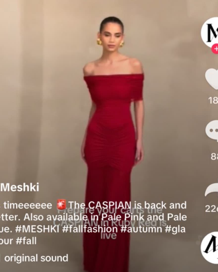 Meshki Gown - Image 4