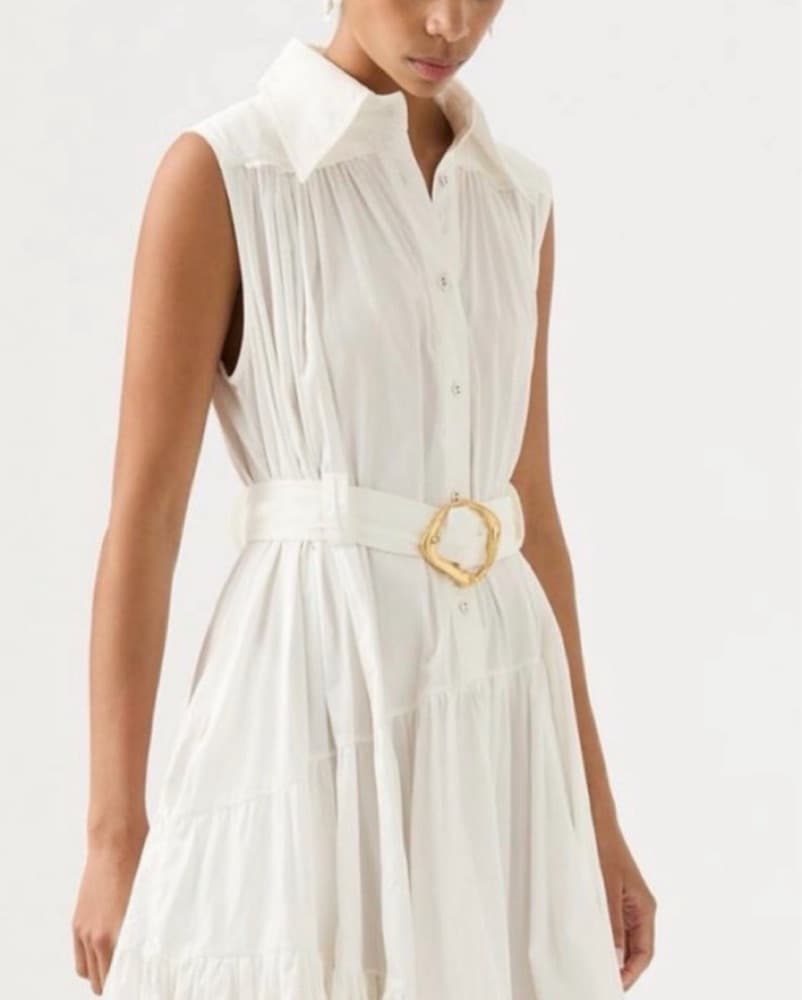 AJE Erika Asymmetrical Gold Buckle Dress - Image 3