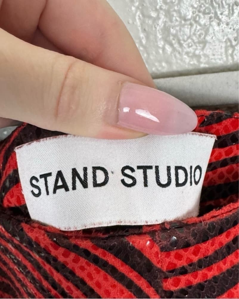Stand Studio Vibrant Zebra-Striped Pants - Image 4