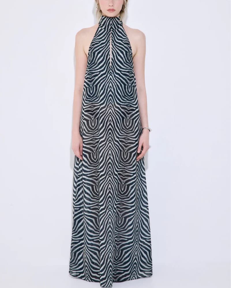 Zebra Maxi Dress - Image 1