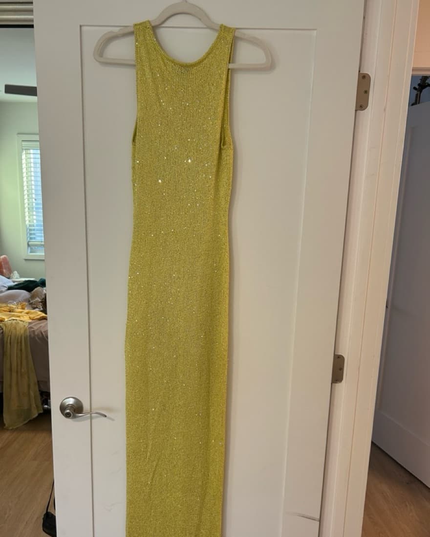 Asta resort Sequin Mesh Dress - Image 2