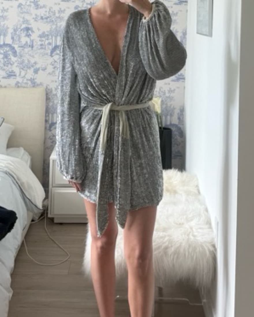 Retrofete Silver Sequin Robe Dress  - Image 3