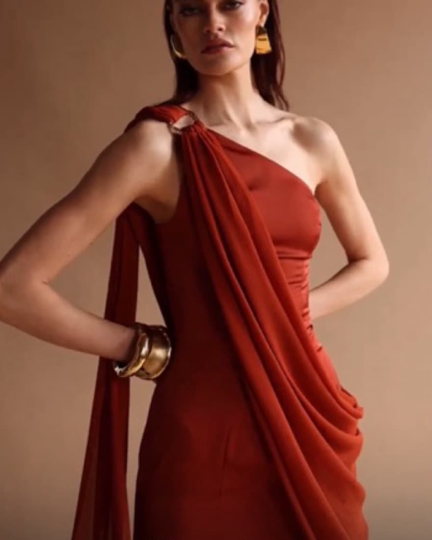 Terracotta Amari Sari Gown - Image 2