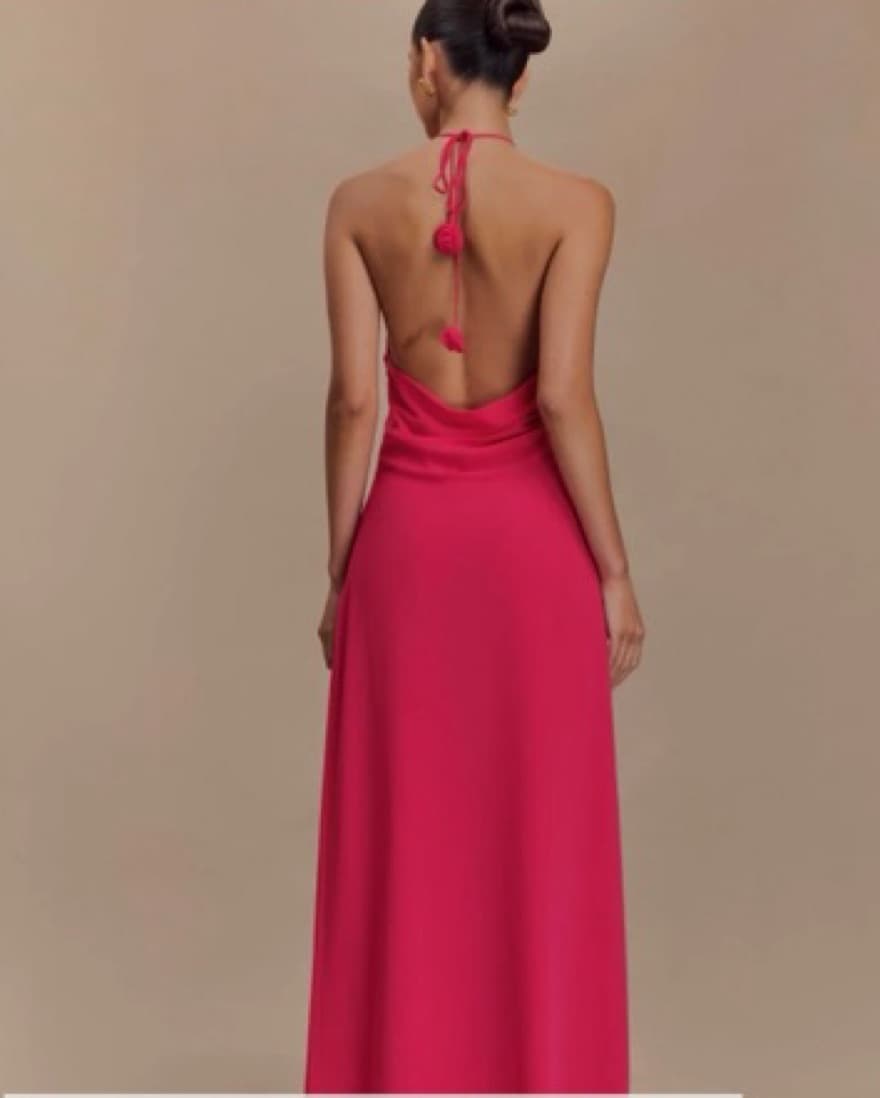 Pink Meshki Gown - Image 4