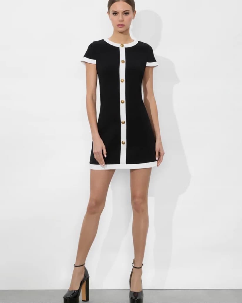 Alice + Olivia Coley Mini Dress  - Image 2