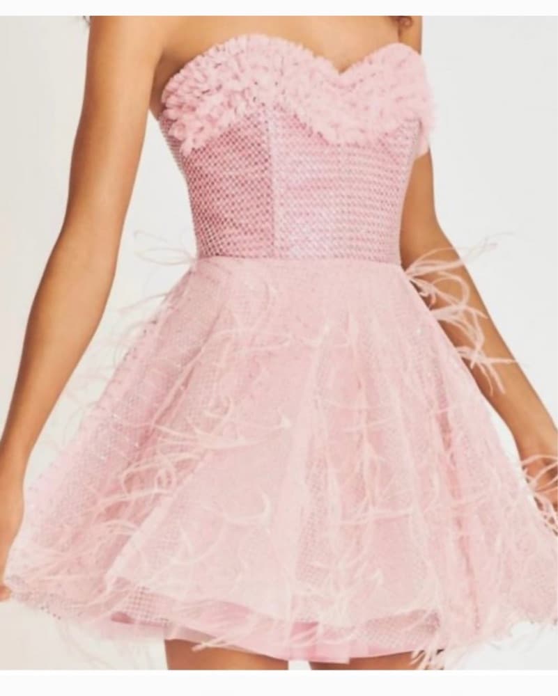 Love Shack Fancy Marvella Mini Dress  - Image 3