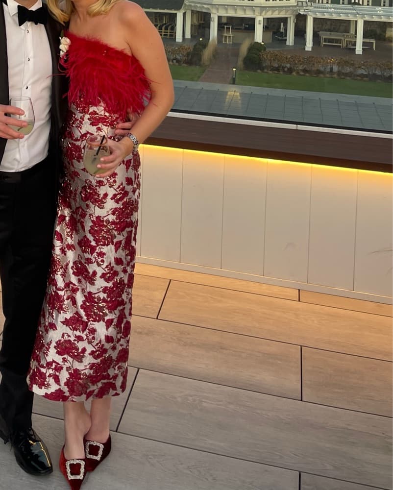 Tuckernuck Red Feather Jacquaed Dress  - Image 5