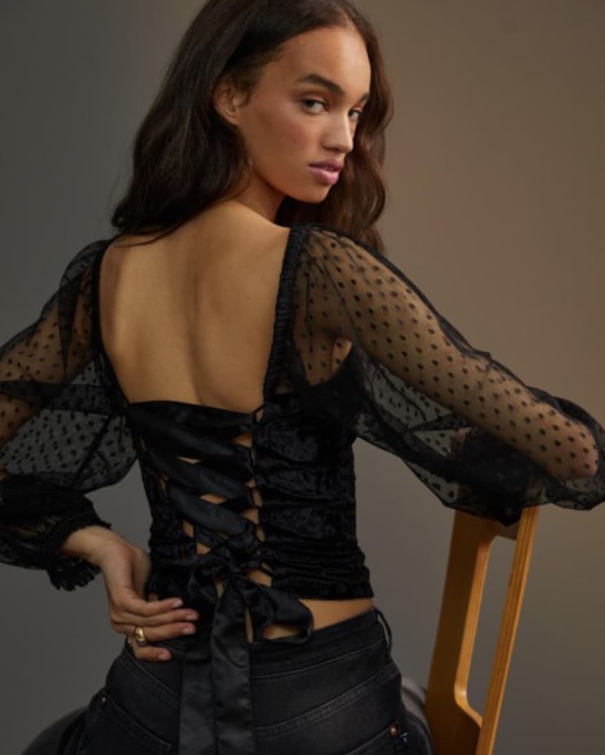 Anthropologie Porridge Velvet Blouse - Image 1