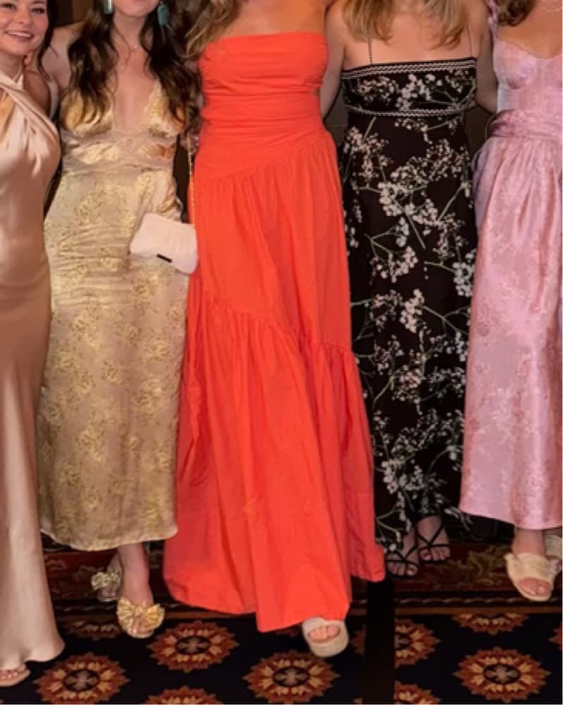 ALC Lark Dress in Spiced Coral - Image 5